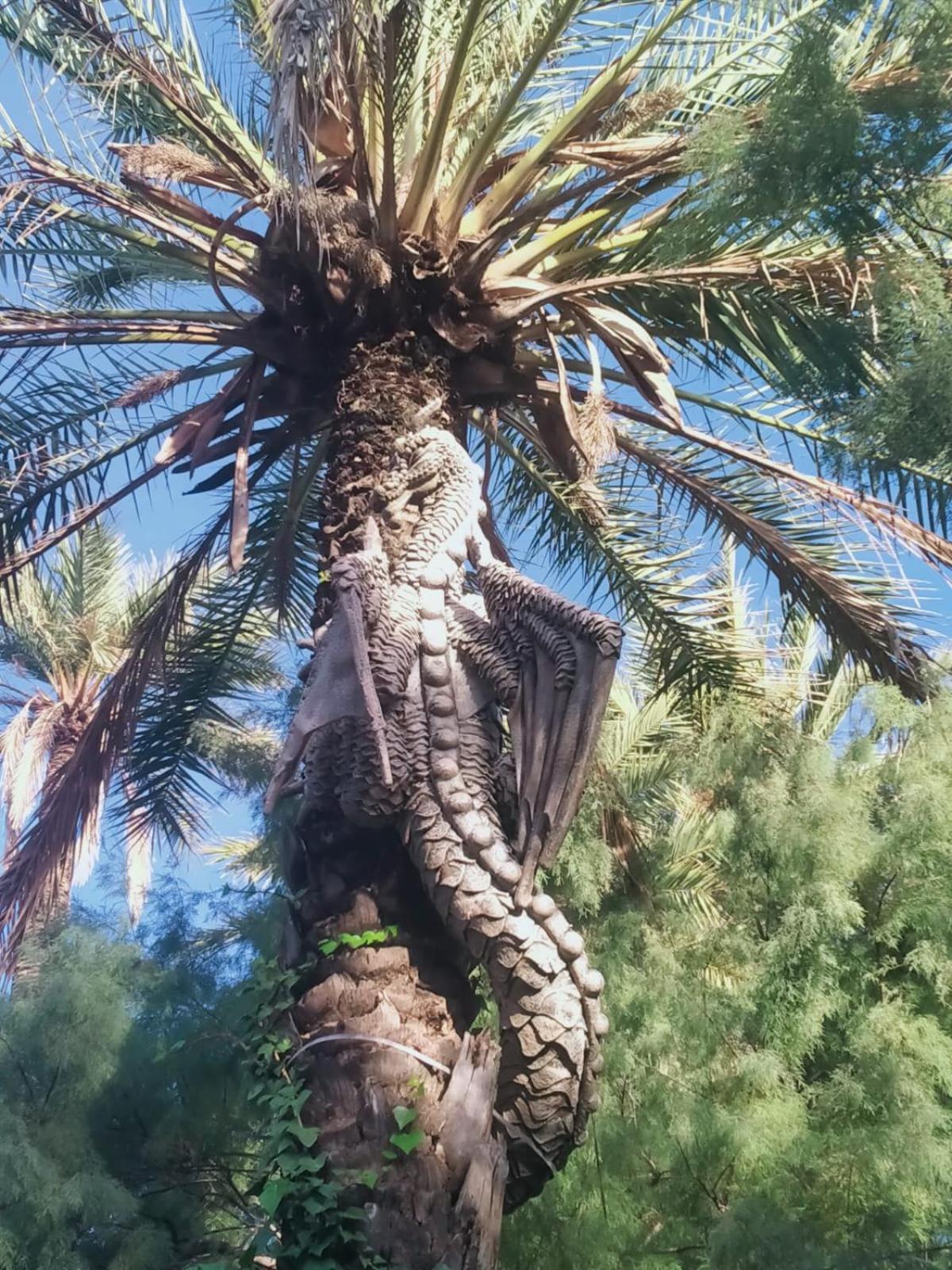 Sol De Mar, La Mata Διαμέρισμα La Mata  Εξωτερικό φωτογραφία