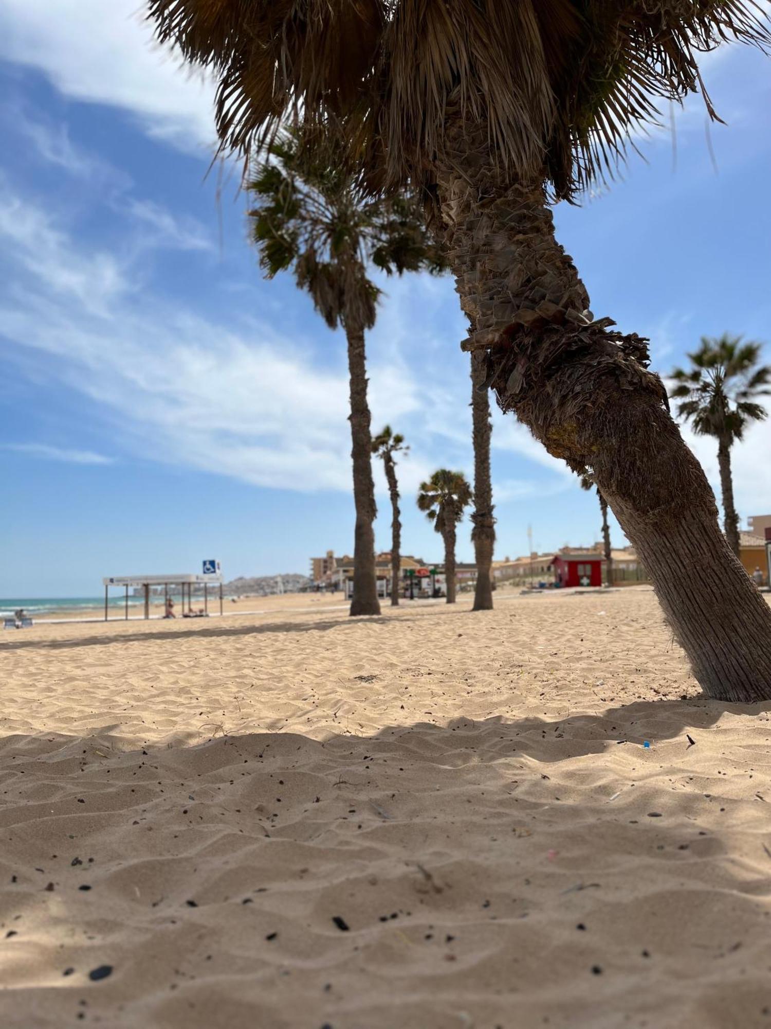 Sol De Mar, La Mata Διαμέρισμα La Mata  Εξωτερικό φωτογραφία