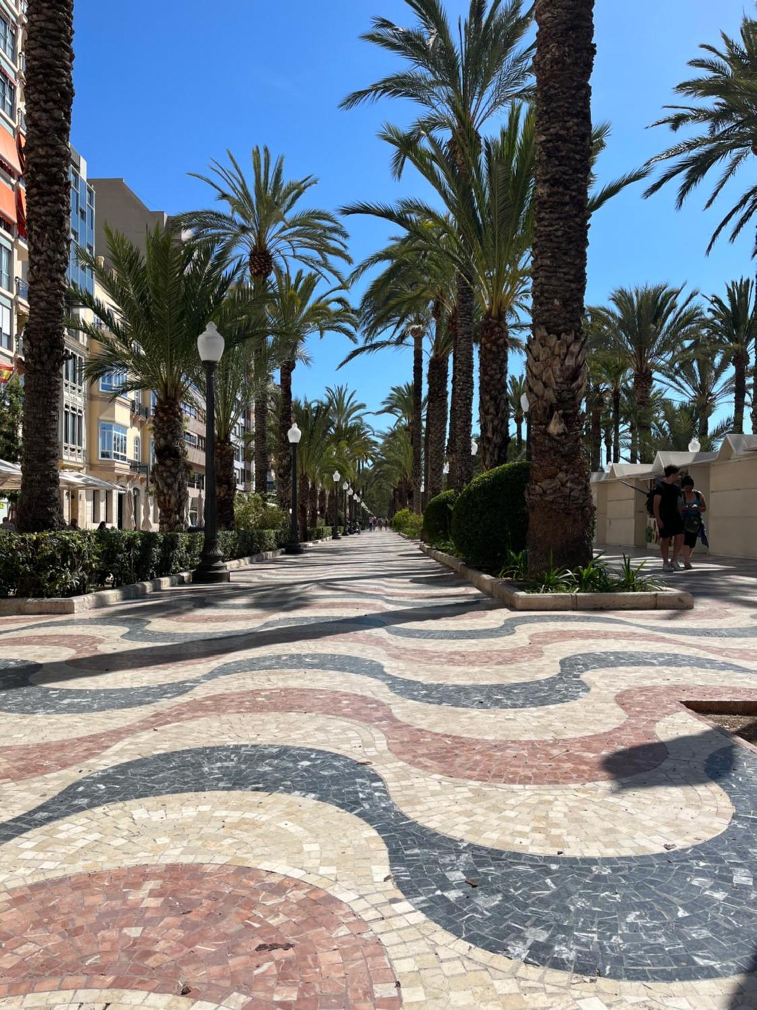 Sol De Mar, La Mata Διαμέρισμα La Mata  Εξωτερικό φωτογραφία