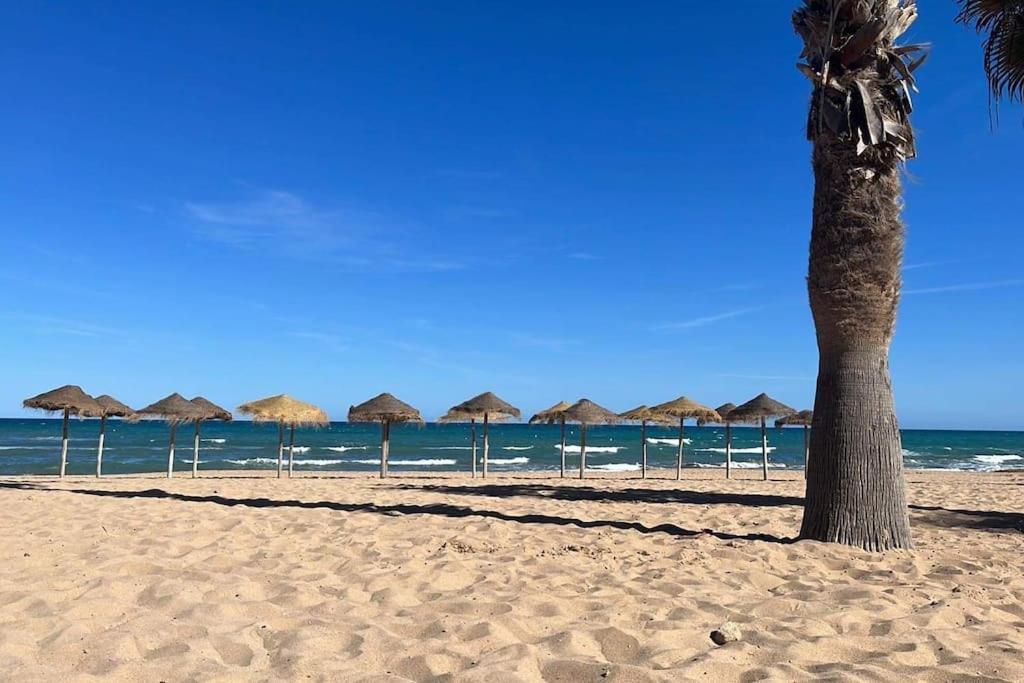 Sol De Mar, La Mata Διαμέρισμα La Mata  Εξωτερικό φωτογραφία